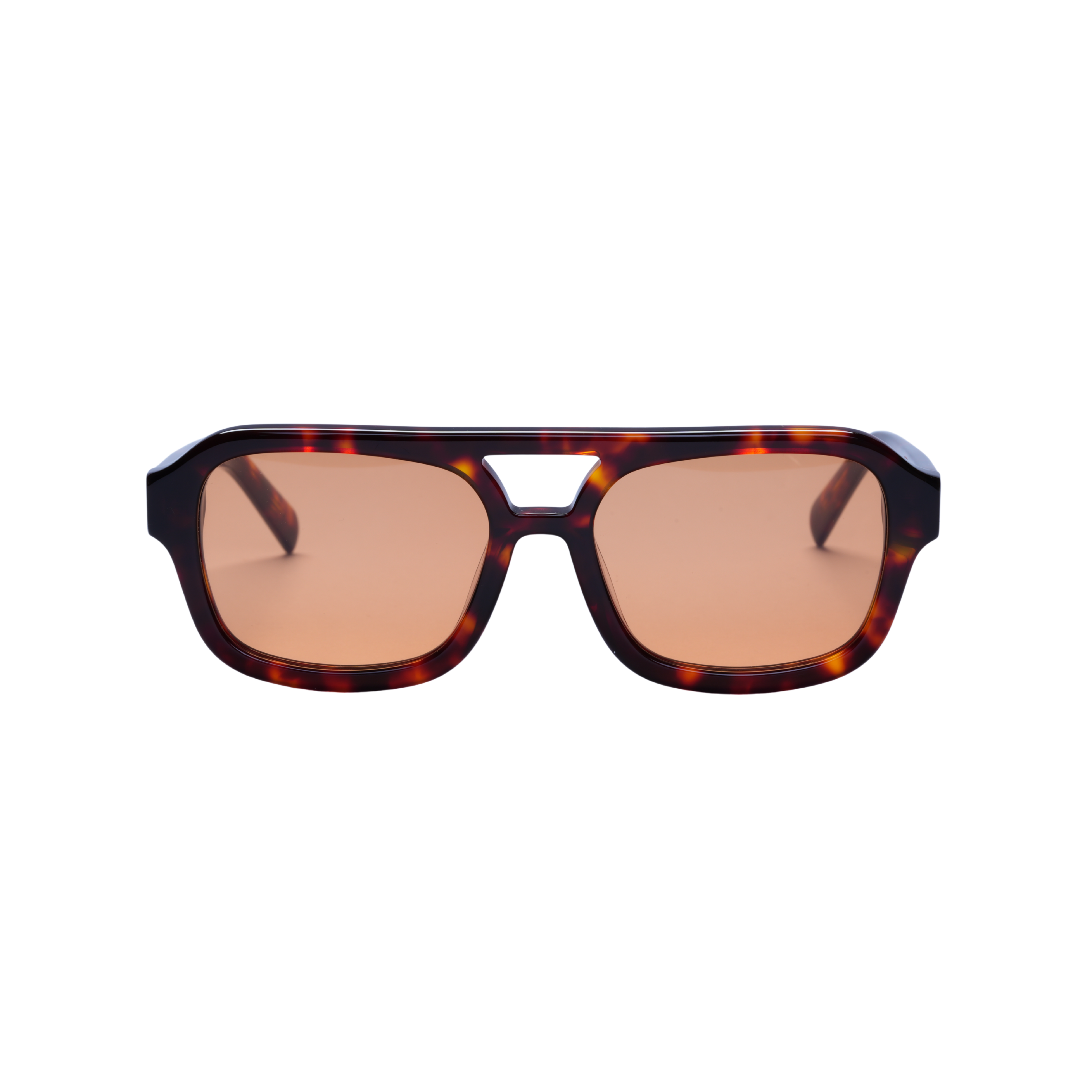 Rio Tortoise in Amber