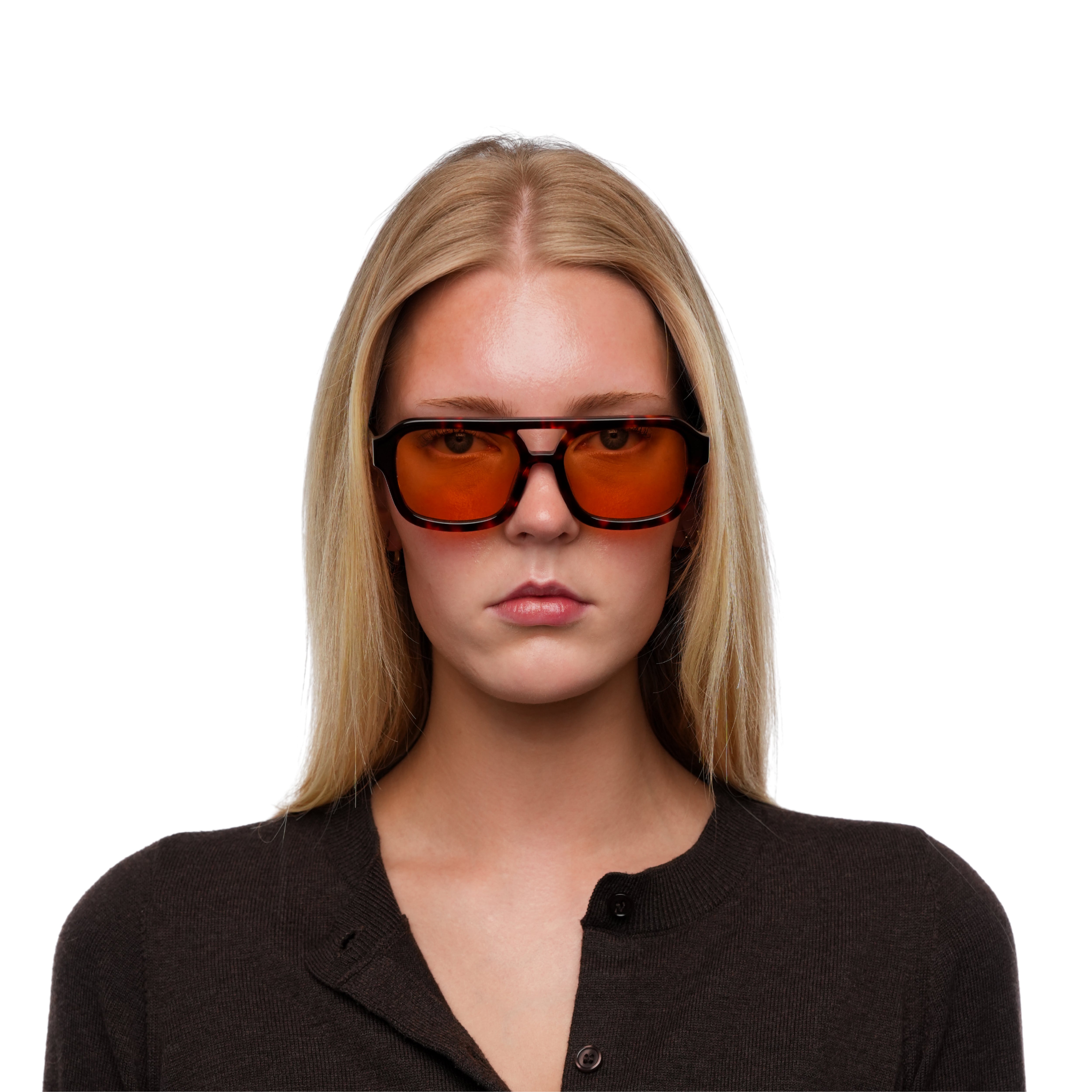 Rio Tortoise in Amber