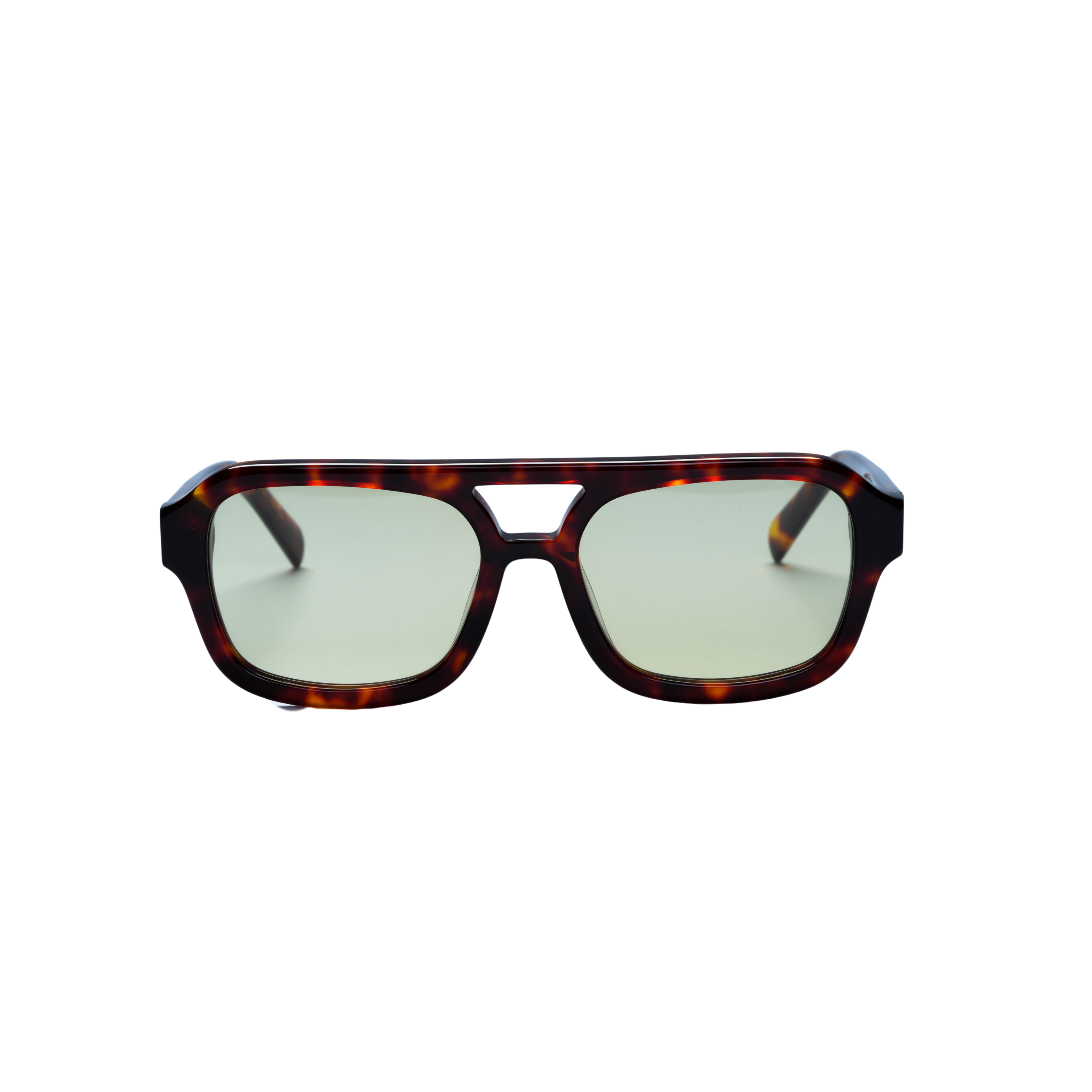Rio Tortoise in Sage