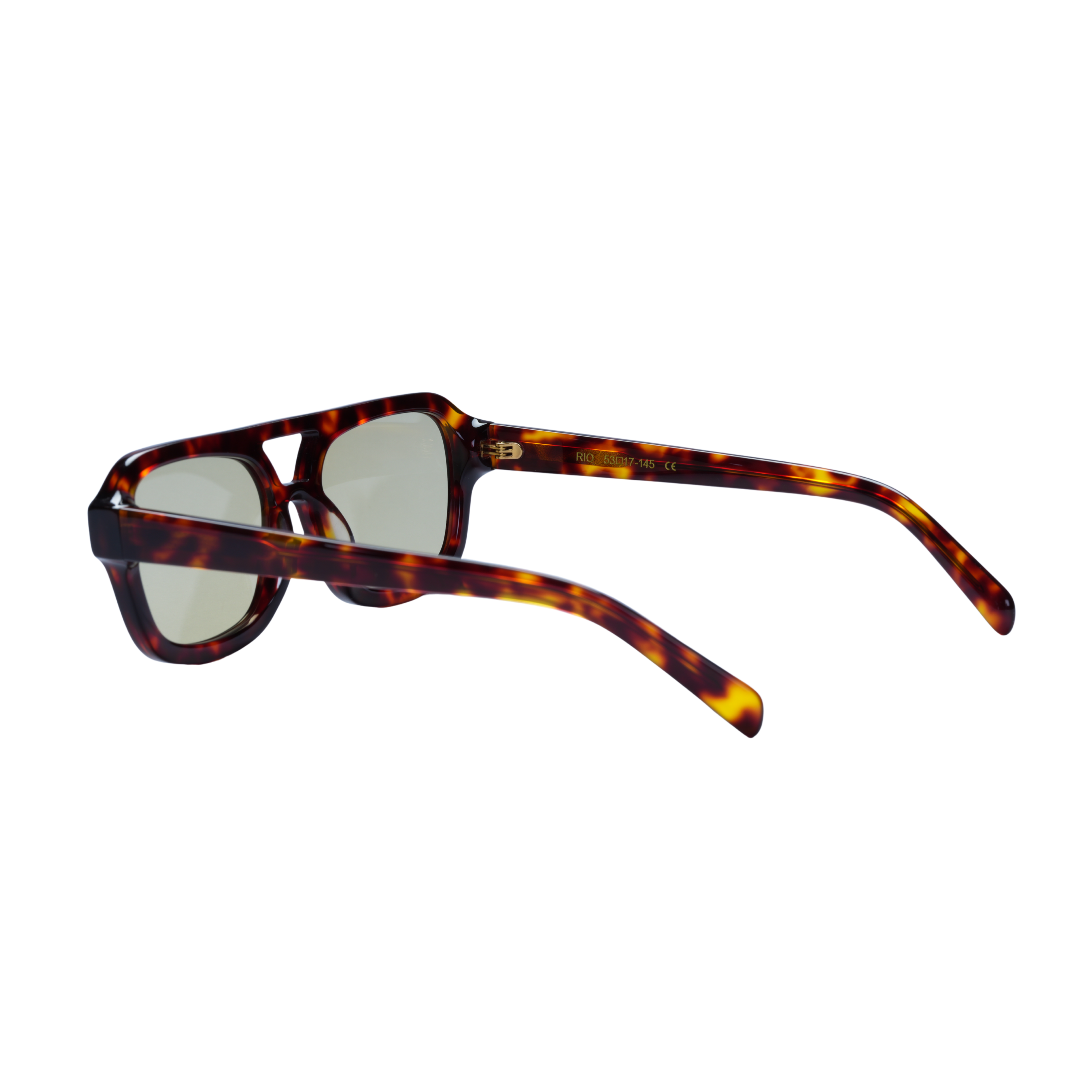 Rio Tortoise in Sage