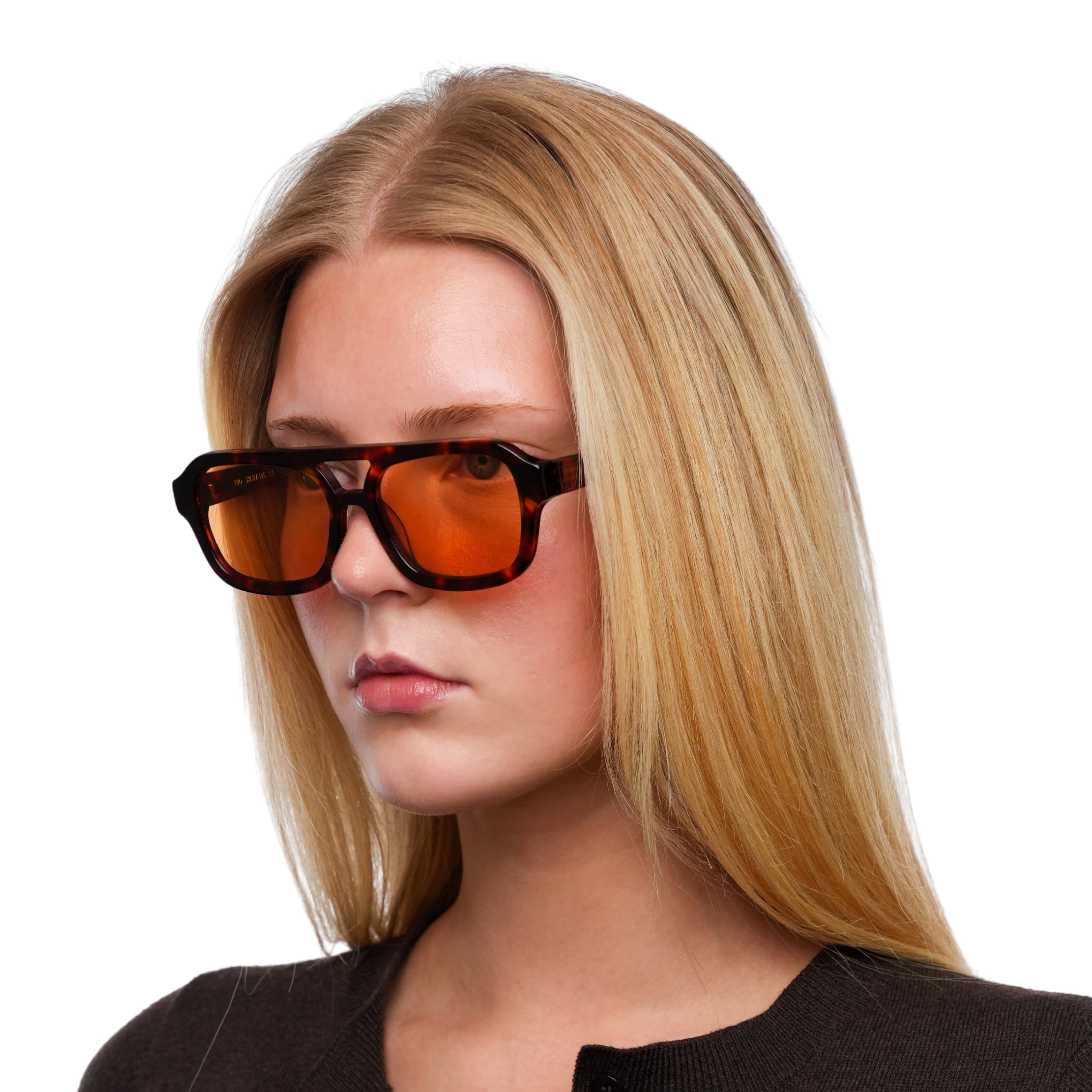 Rio Tortoise in Amber